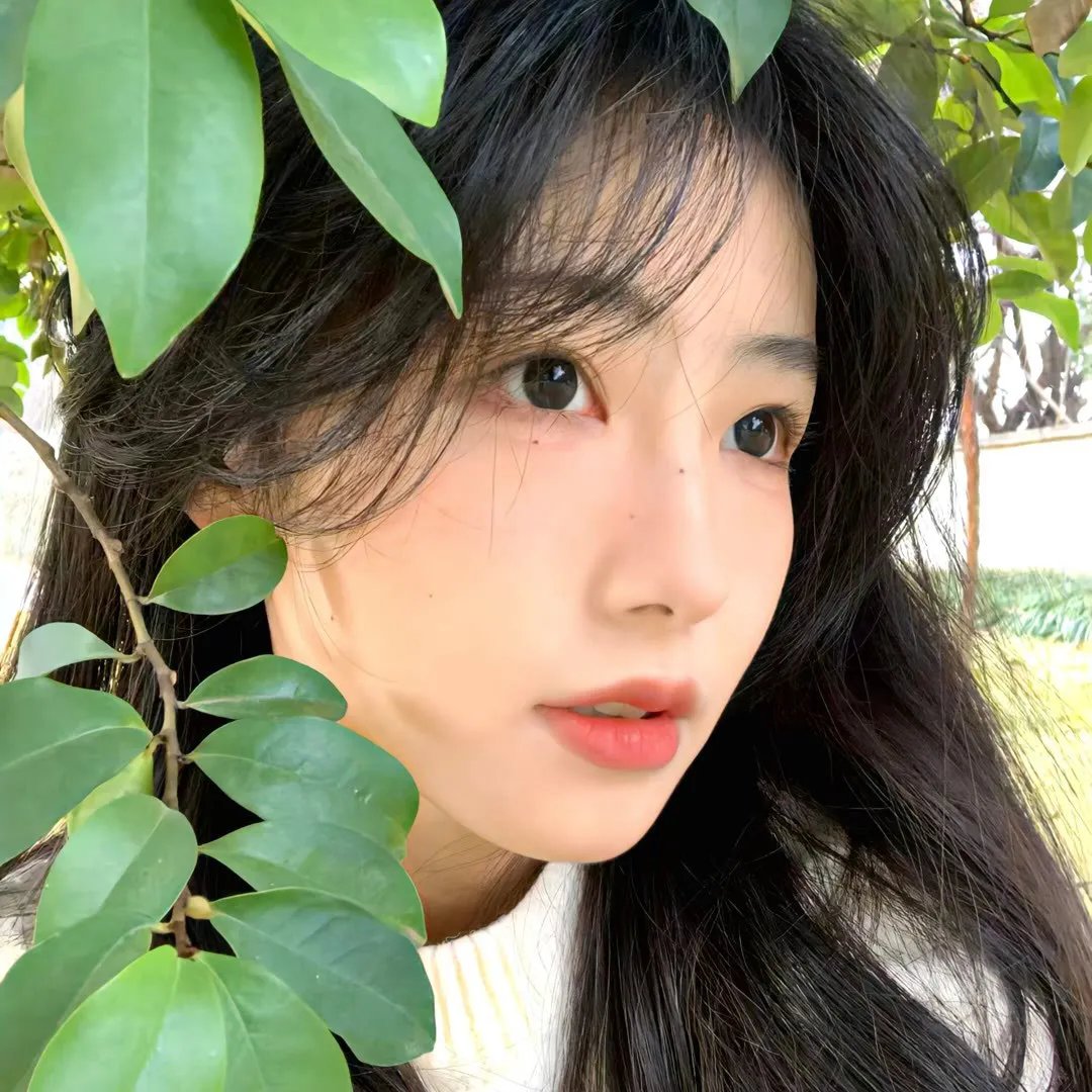 合唱（电影）
