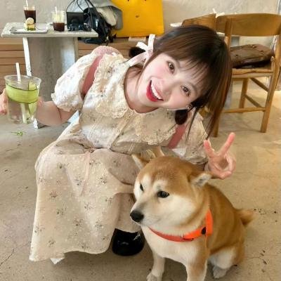 遗忘的碎片
